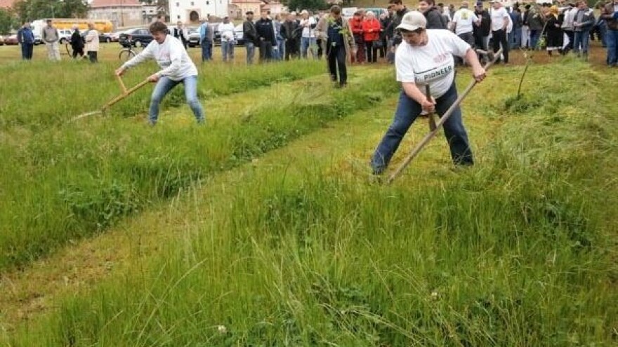 Koprivnički Dani travnjaka