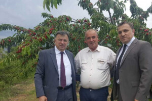 300 izlagača na 15. Danima trešnje u Mostaru