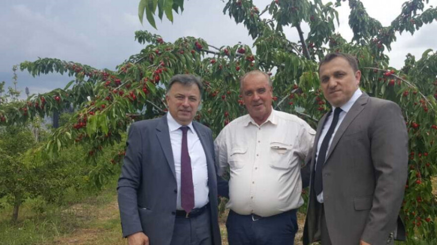 300 izlagača na 15. Danima trešnje u Mostaru