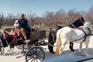 Slavonija se u turističkom smislu budi, ali puno je tu još posla