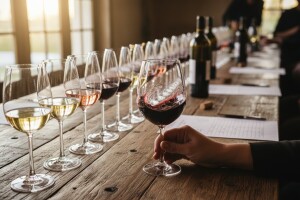 Dani vina u Horgošu