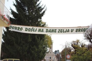 Dani zelja i bregofske pite