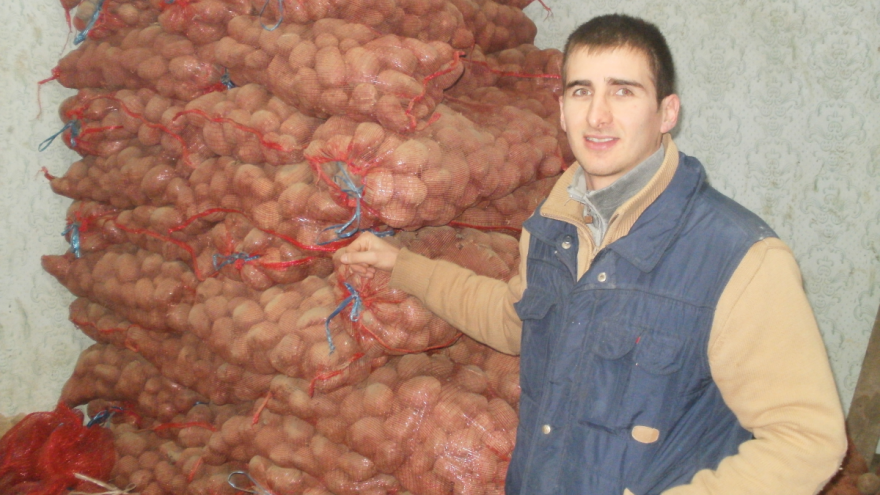 Pivnice: Skupa proizvodnja krompira