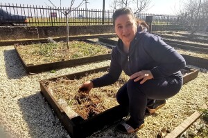Zdravo i krupno povrće iz visokih leja bez kopanja i čestog zalijevanja