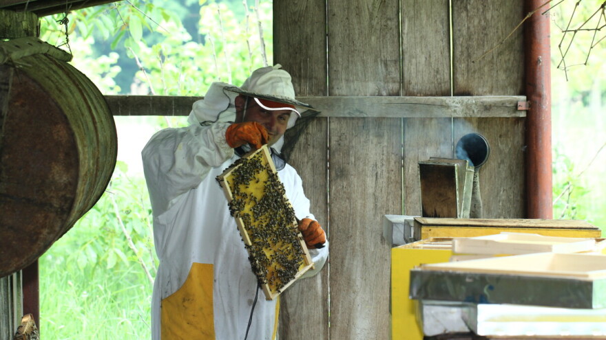 OPG Čajko: Od pčelica djeda Tome do Kuće meda