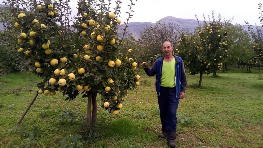 Danilo Škero: Za dunjevaču je potrebna posvećenost tokom cijele godine