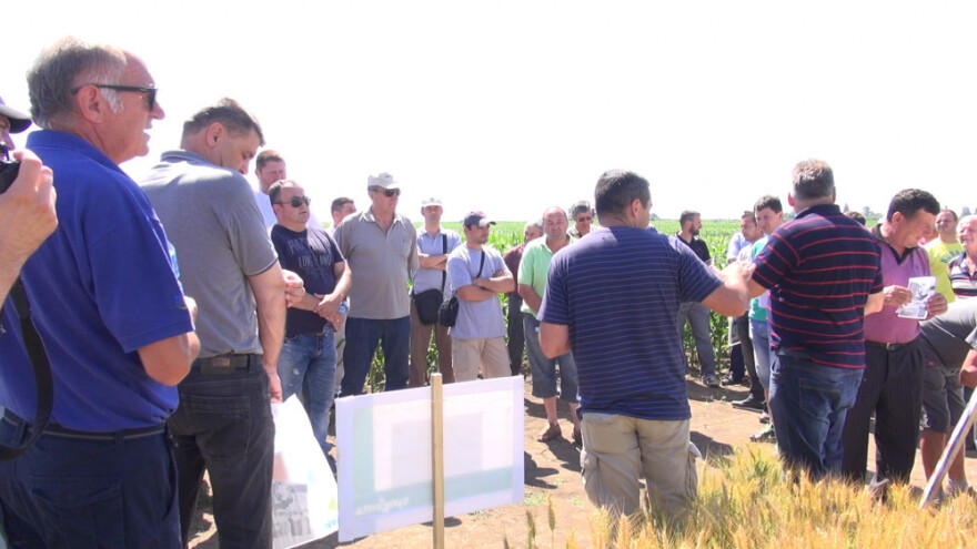 Nove sorte za bolju proizvodnju