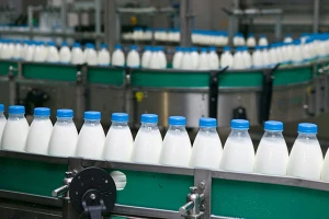 Danon povećao polugodišnji profit