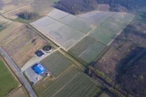 Dar Blue: 12 ha borovnice u Čazmi financira IPARD