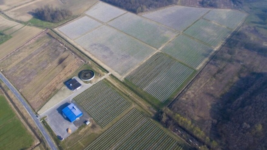 Dar Blue: 12 ha borovnice u Čazmi financira IPARD