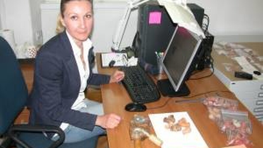 Poticanje obnove tradicijskog obrta - proizvodnja zelovskih lula