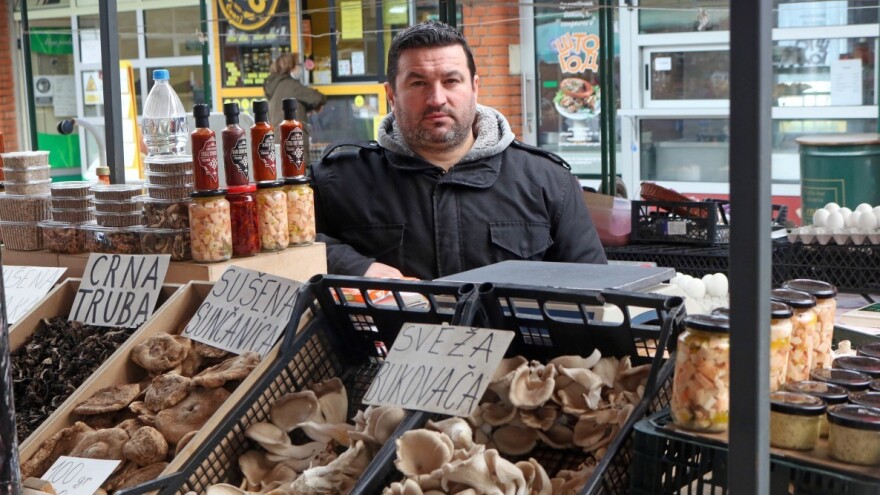 Da li gljive mogu da donesu dobit: Uzgoj šitake i bukovače
