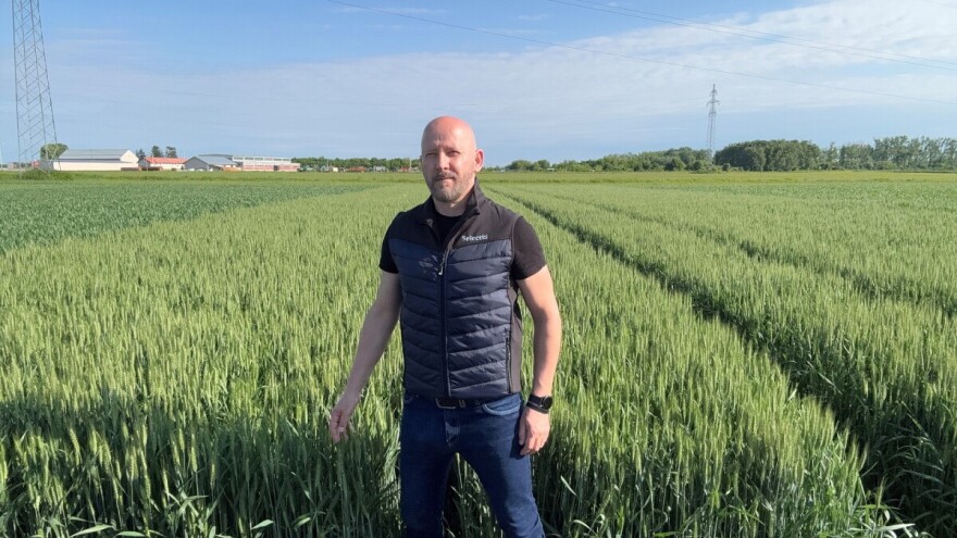 Od ideje do uspjeha: Program SelectiS sjemenska je priča koja nezaustavljivo raste