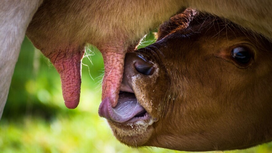 Još 10 dana do kraja RuralFoto nominacija