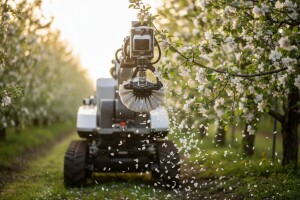 Darwin SmaArt kamera snimi, pa proređuje cvetove