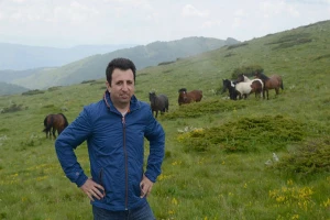 Peglana kobasica od organskog konjskog mesa potencijal koji obećava