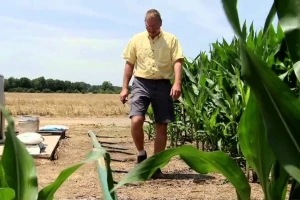 Hula opet oborio rekord s preko 36 t/ha kukuruza!