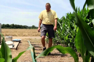 Hula opet oborio rekord s preko 36 t/ha kukuruza!