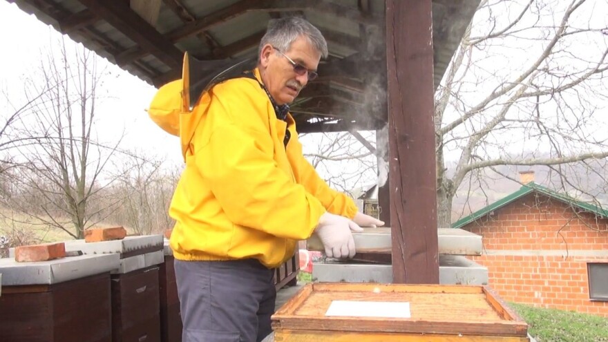 Iskusni pčelar Davorin Krakar savjetuje o radovima u pčelinjaku početkom travnja