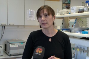 Veliki postotak tla je u izrazito lošem stanju, krajnje je vrijeme za zaštitu