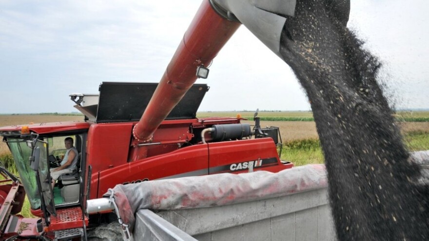 Sjajni prinosi DEKALB uljane repice