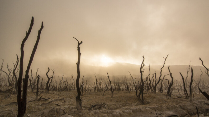 Suša prijeti Italiji i Španjolskoj
