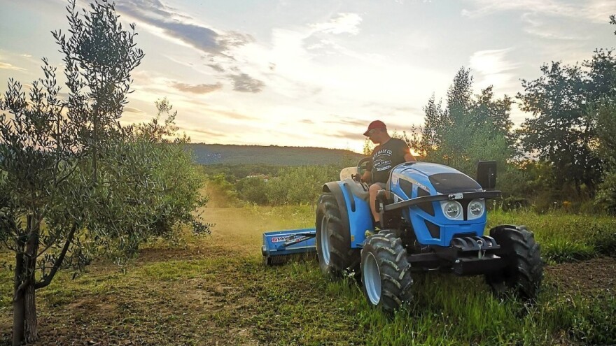 Ulje Vetta maslinara Deana Fabijančića osvojilo u New Yorku prve nagrade za  Istru