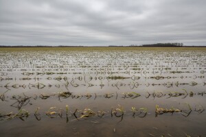 Deblokada računa odštetama