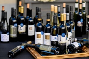 Hrvatska ima novu vrhunsku vinsku regiju! Na Decanteru osvojili 22 medalje