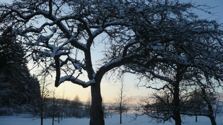 Šta se od poljoprivrednih poslova radi u decembru?
