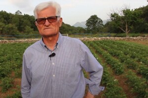 Kažu posadili krompir k'o i svake godine i gle čuda, nikla tek polovina! Evo i zašto