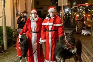 Božićna kolona traktora ukrašenih lampicama razveselila građane Njemačke