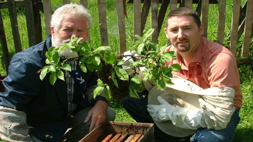 Deda Acin pčelinjak - vojska rojeva