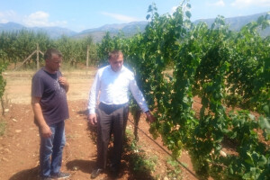 Dedić: Općine, iskoristite grantove za nabavku hladnjača