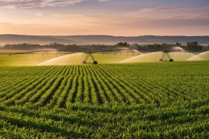 Definisani prioriteti saradnje u poljoprivredi