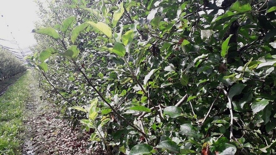 Za vikend i dalje ljetnje vrijeme, od ponedjeljka jače naoblačenje