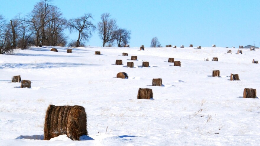 Lijevče polje, Semberija i dio Hercegovine najugroženija su područja u RS