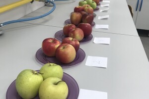 Studij Održivog agroturizma - uspješna kombinacija turizma i poljoprivrede