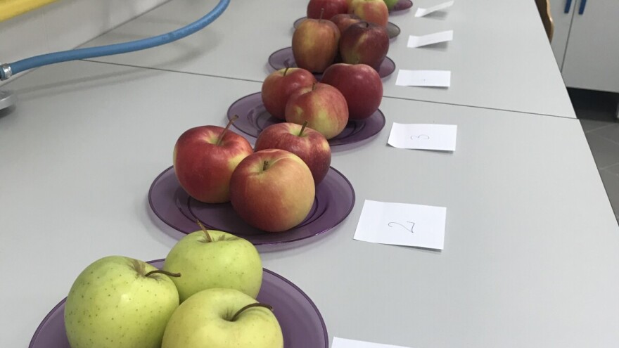 Studij Održivog agroturizma - uspješna kombinacija turizma i poljoprivrede