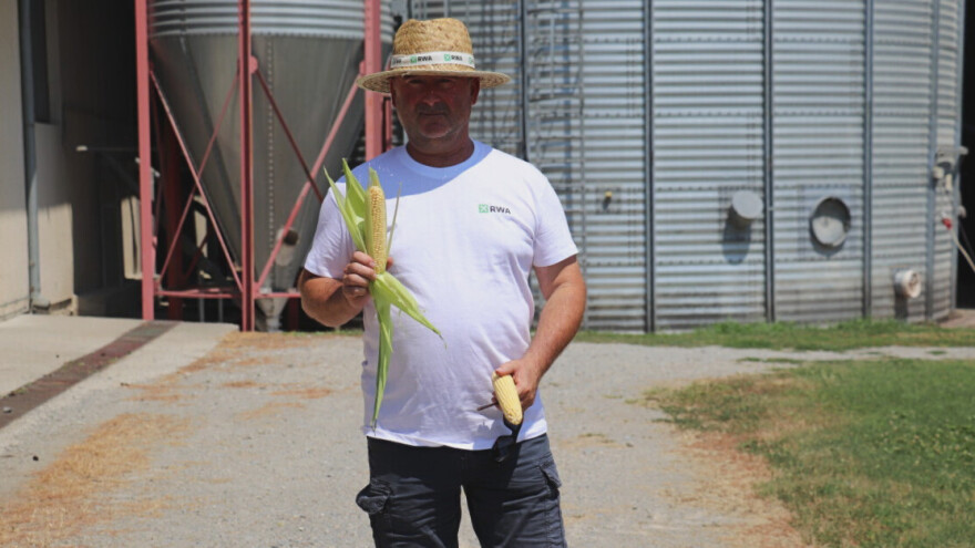 Dejan Mendaš: Niska vlaga kukuruznog zrna zadruzi je posebno važna