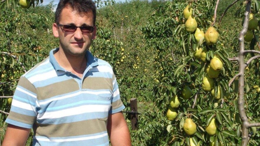 Popović: Uzgoj voća može biti isplativ, tržište uvijek traži inovativan proizvod