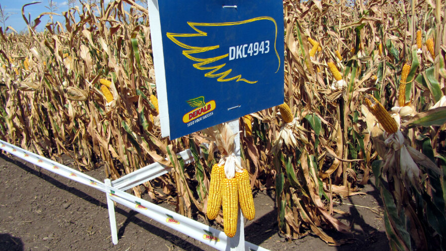 DEKALB vas poziva na novogodišnji informativno - zabavni program u Đakovo, Bjelovar i Ludbreg!