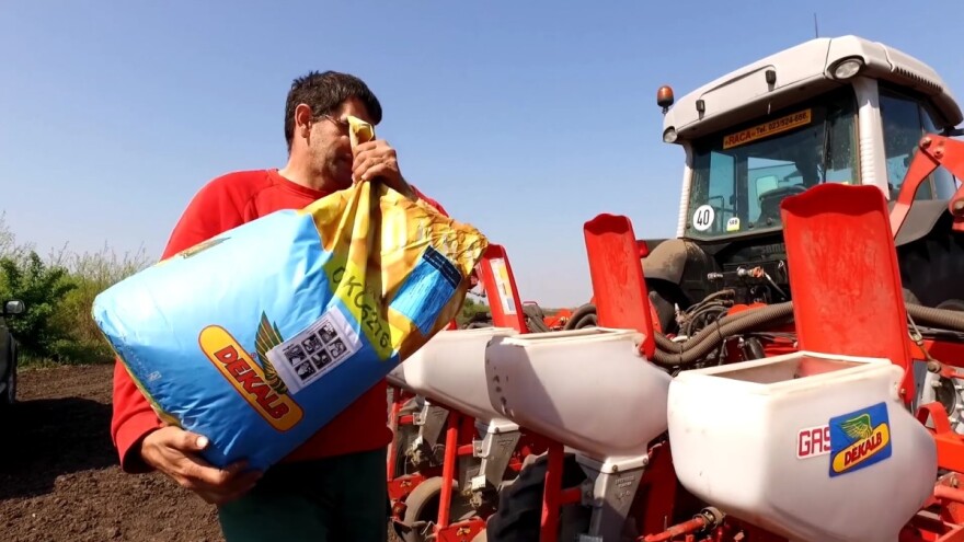 Proizvođači zadovoljni DEKALB kukuruzom: S plavom bojom smo uvijek tonu jači!