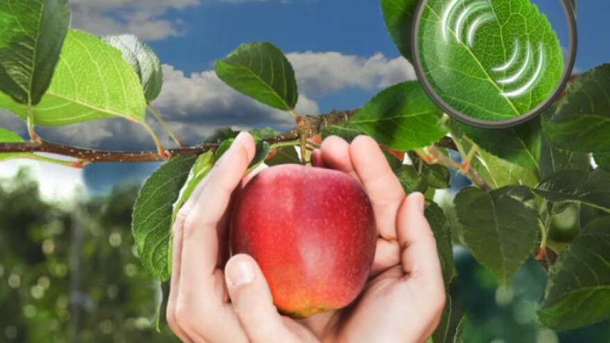 Delan® Pro - novi koncept zaštite jabuke