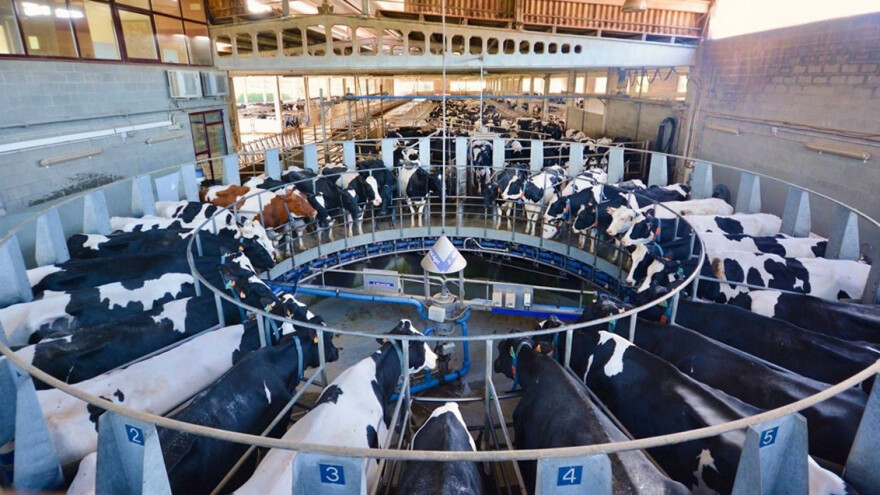 Trendovi u proizvodnji i primjeni robota za mužnju - što očekivati u budućnosti?  