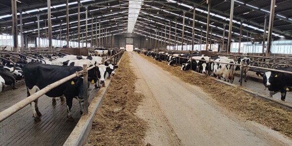 Produžen rok za podnošenje prijava za M1 meru IPARD 3 programa ...