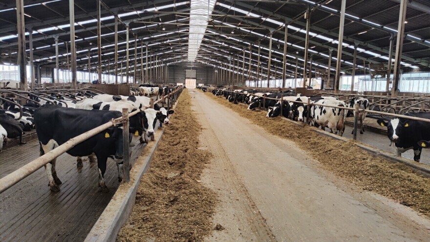 Produžen rok za podnošenje prijava za M1 meru IPARD 3 programa