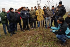 Radionica rezidbe lijeske u Daruvaru