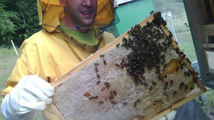Kroz pčelarstvo osigurao egzistenciju!