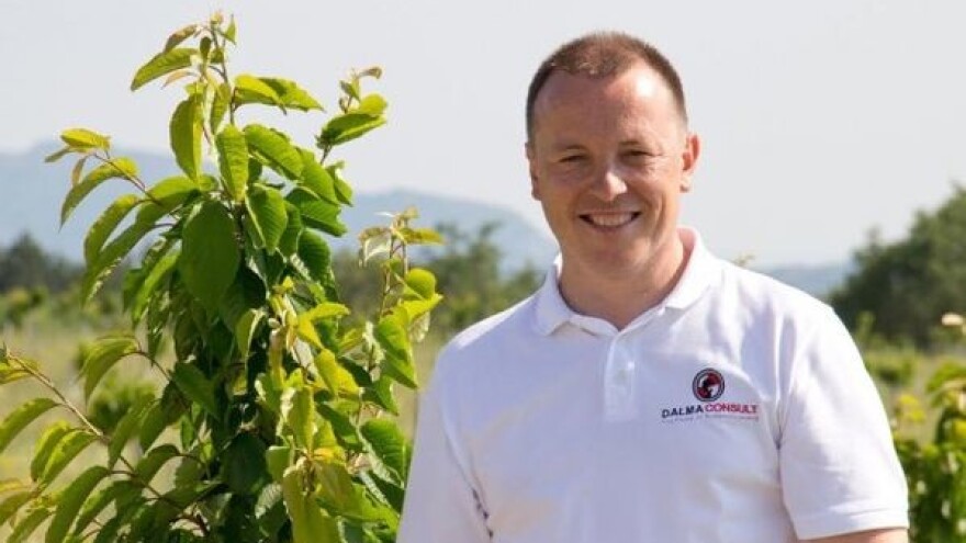 U Katunima svaka višnja ima svoga kuma!